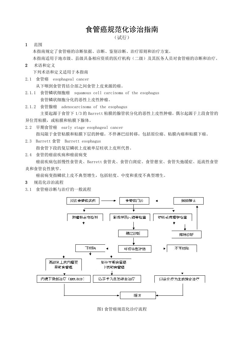 卫生部市、县级医院常见肿瘤规范化诊疗指南食管癌