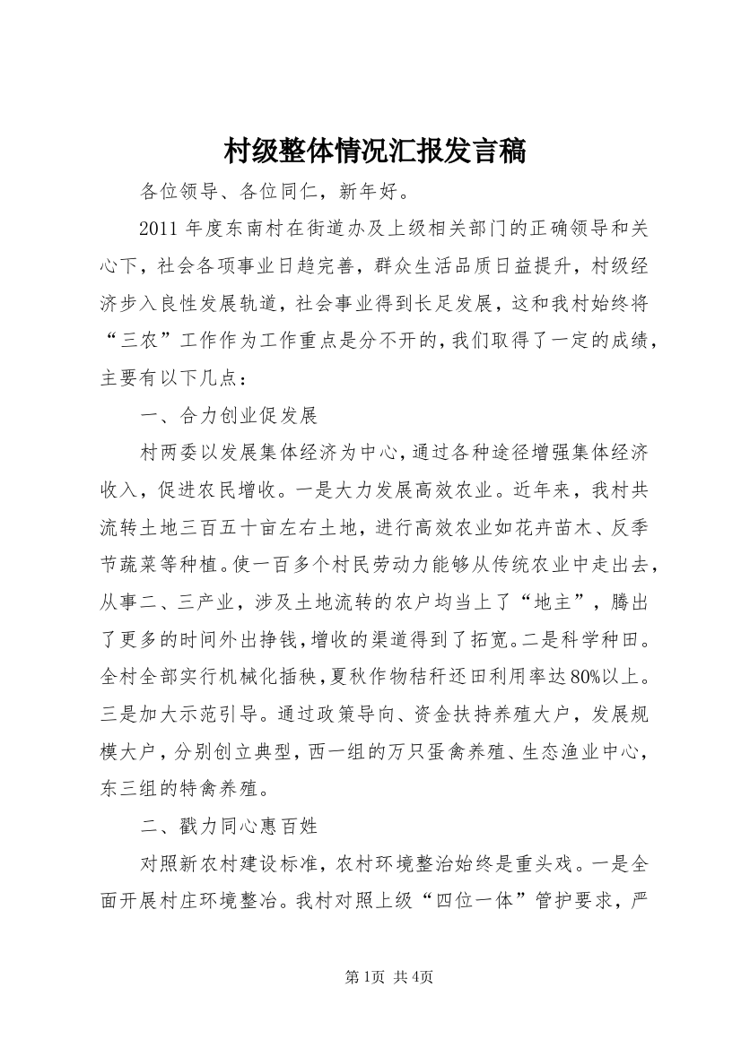 村级整体情况汇报发言稿