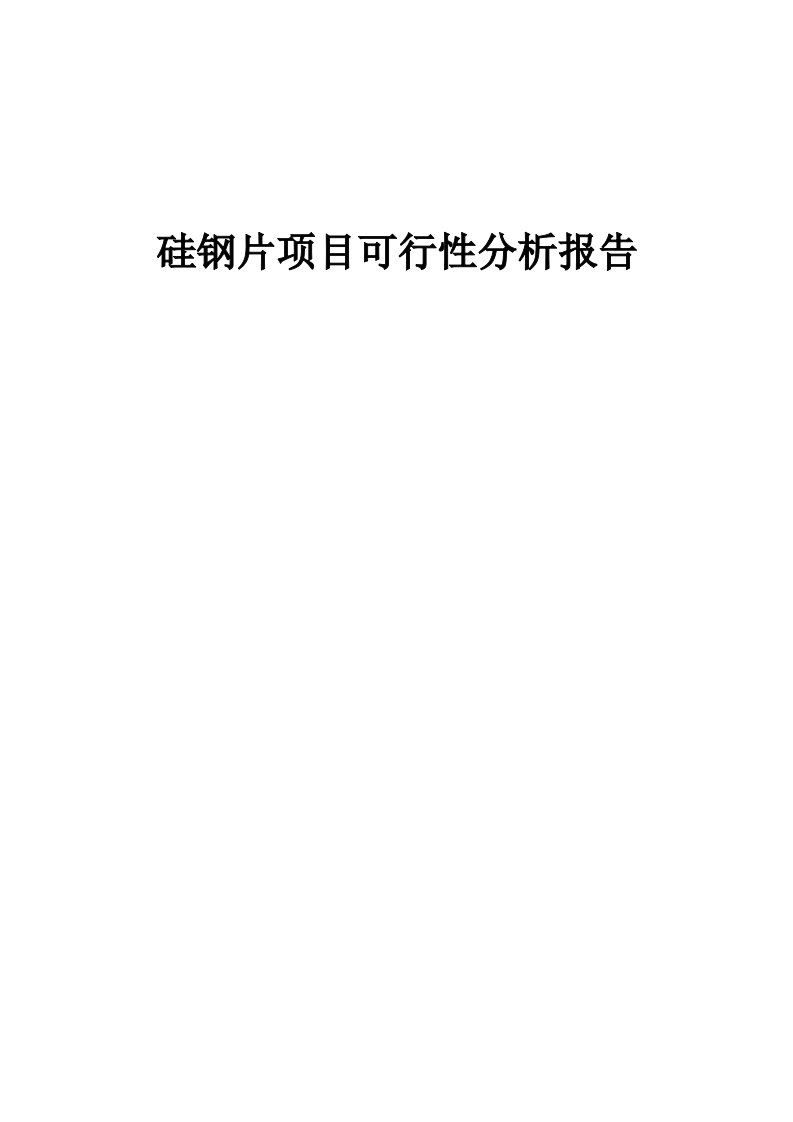 2024年硅钢片项目可行性分析报告