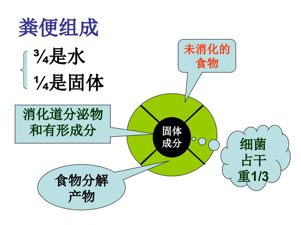 健康评估之教学粪便检查