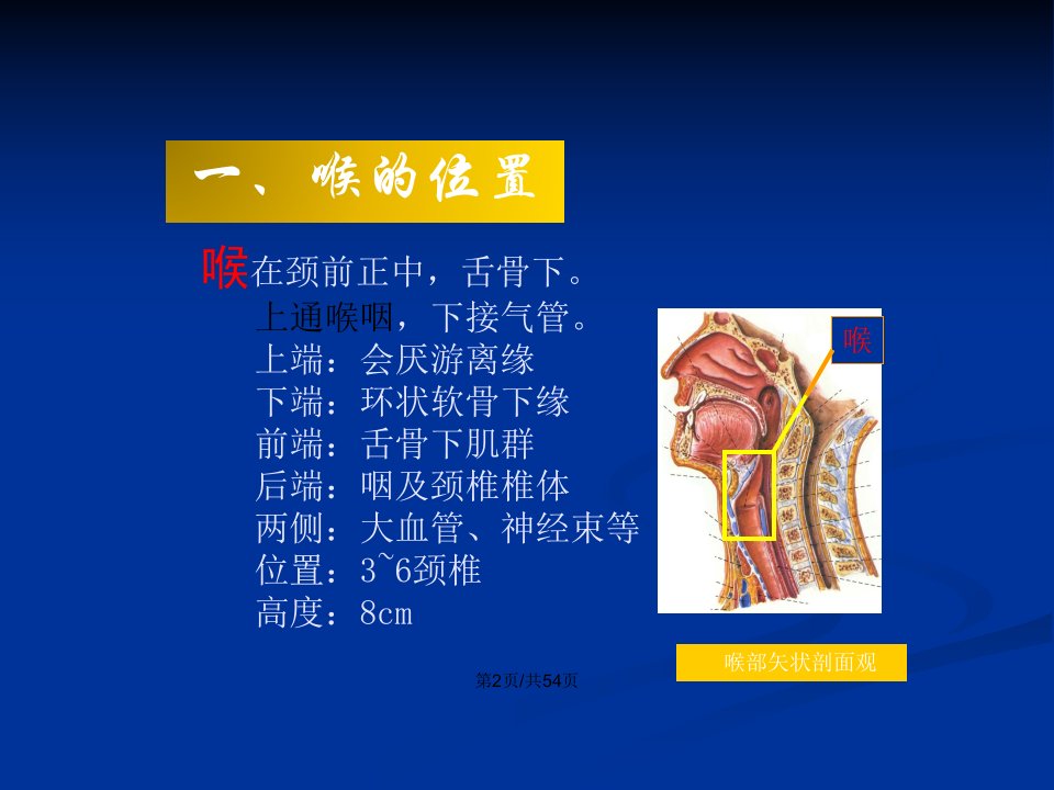 喉癌护理查房教学