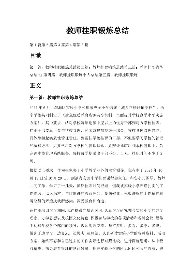 教师挂职锻炼总结