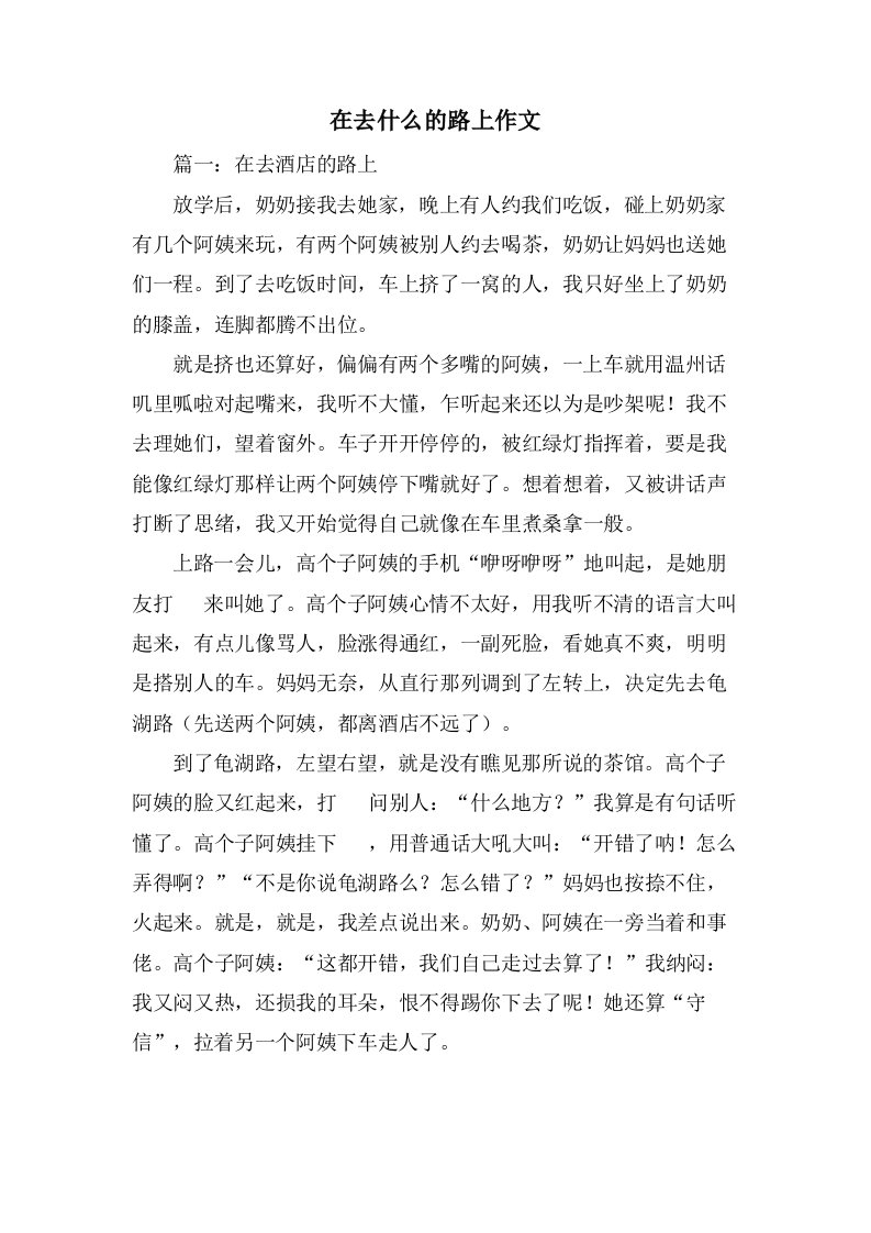 在去什么的路上作文