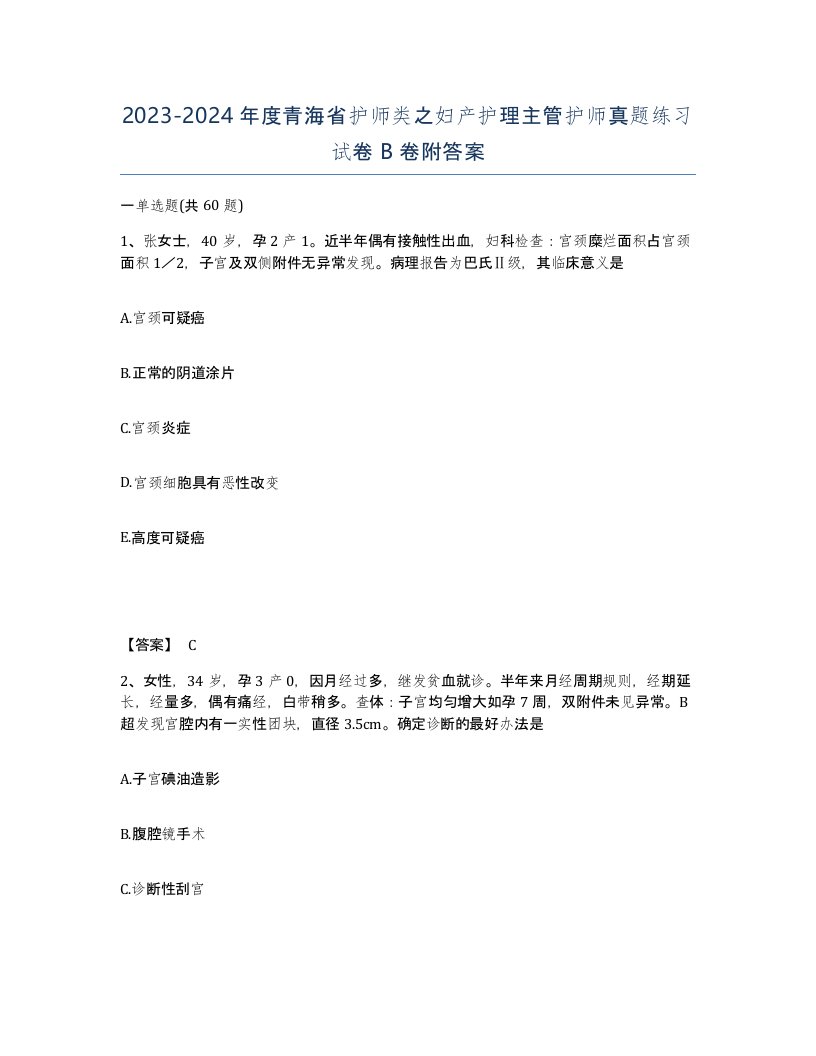 2023-2024年度青海省护师类之妇产护理主管护师真题练习试卷B卷附答案