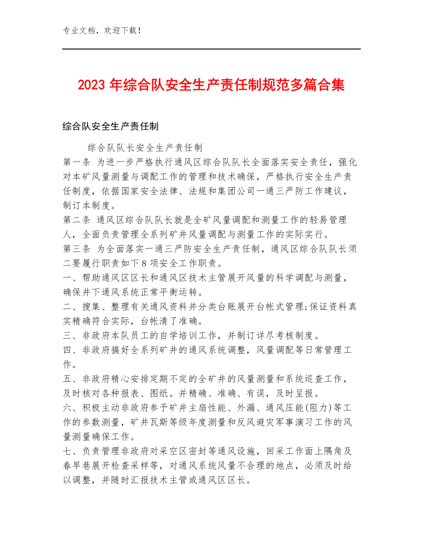 2023年综合队安全生产责任制规范多篇合集