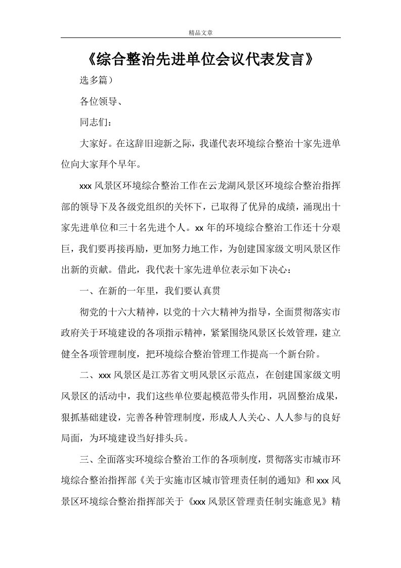 《综合整治先进单位会议代表发言》