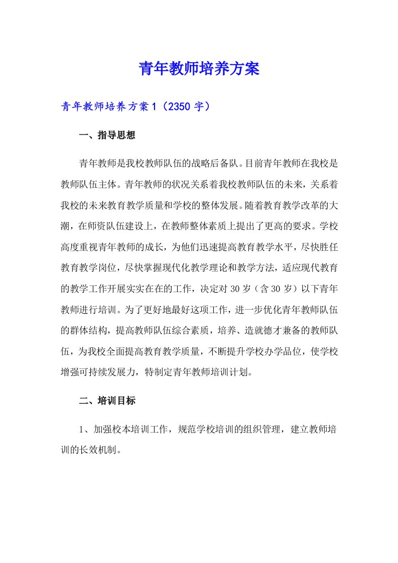 青年教师培养方案