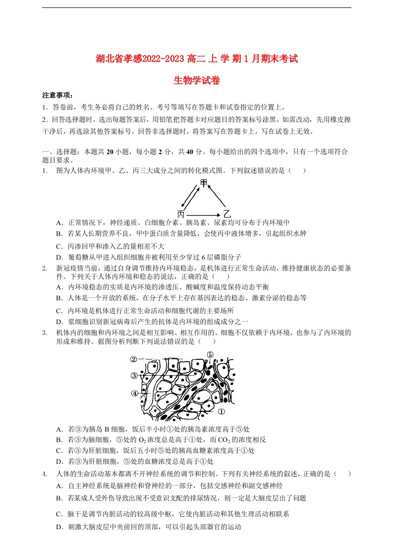 湖北省孝感2022_2023高二生物上学期1月期末考试试题