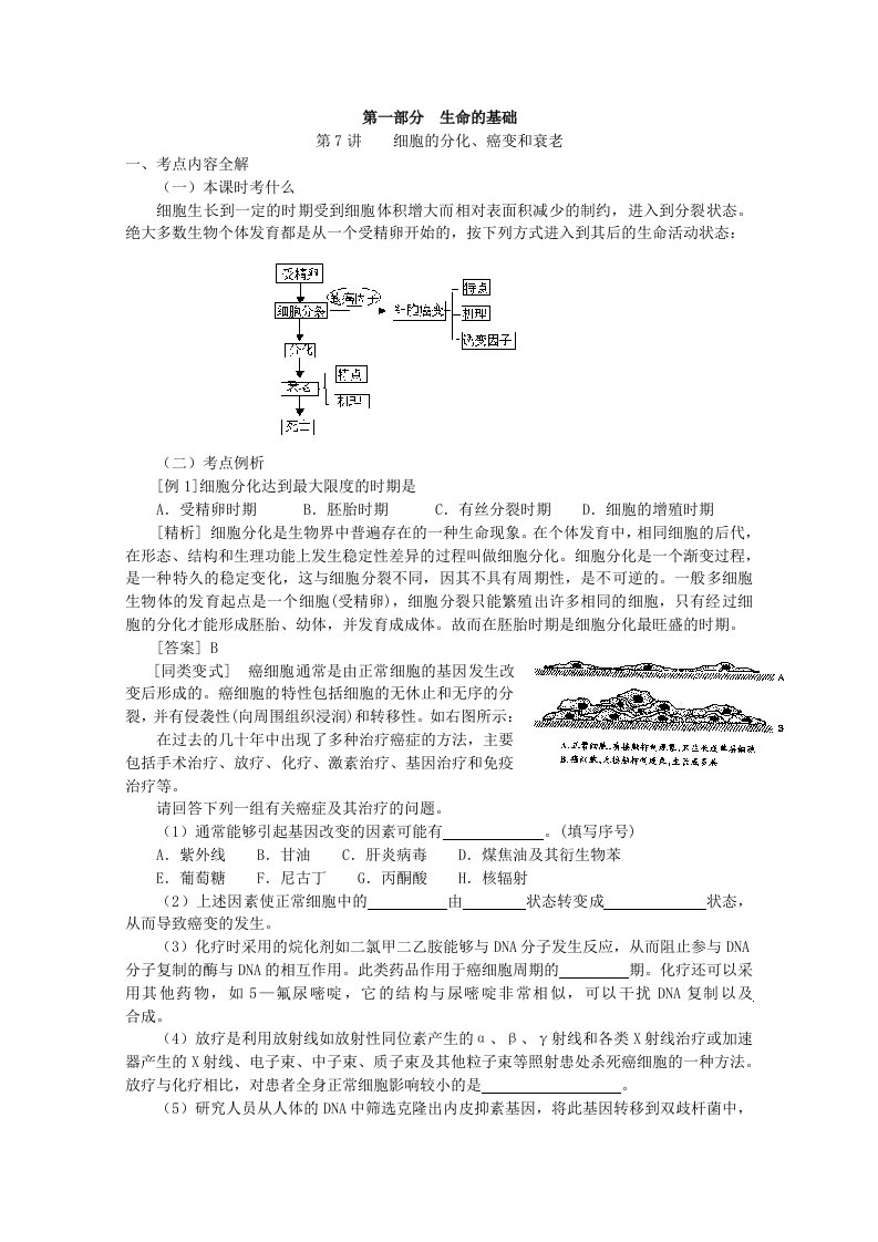 2011年高考生物复习教案：第7讲细胞的分化、癌变和衰老(人教版)