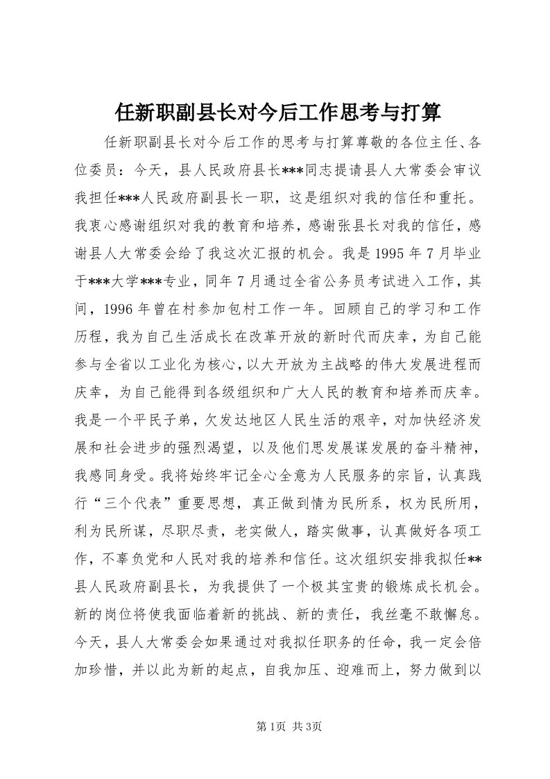 5任新职副县长对今后工作思考与打算