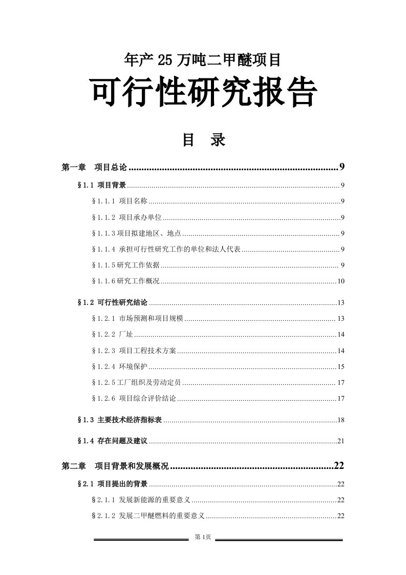 年产25万吨二甲醚项目可行性研究报告（完整版）