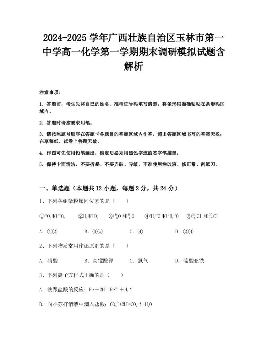 2024-2025学年广西壮族自治区玉林市第一中学高一化学第一学期期末调研模拟试题含解析