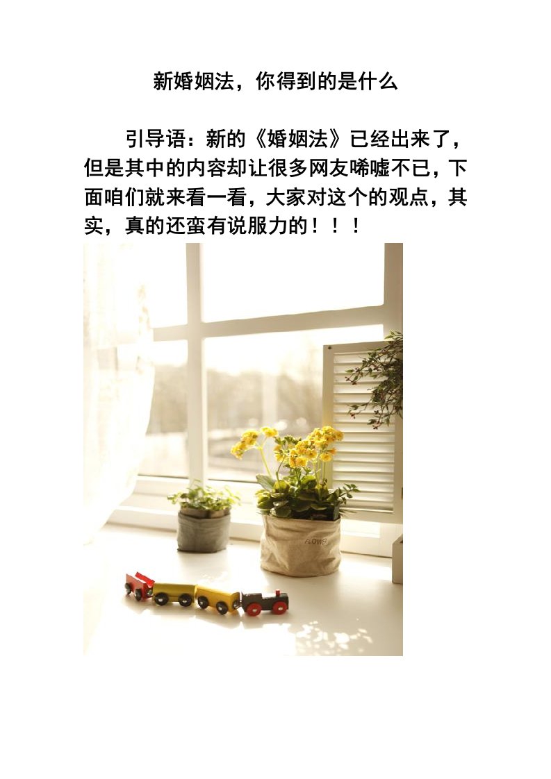 新婚姻法，你得到的是什么