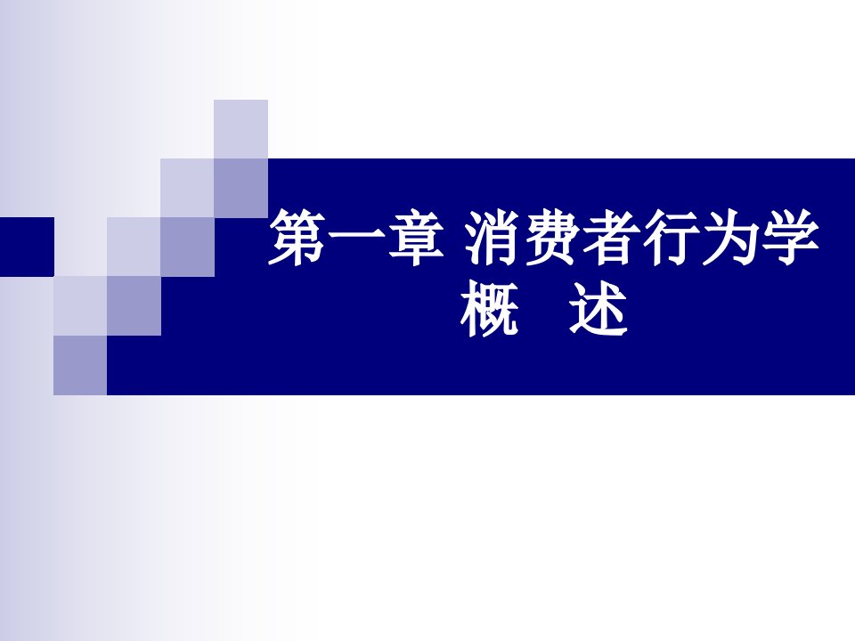 消费者行为学全书电子教案完整版课件