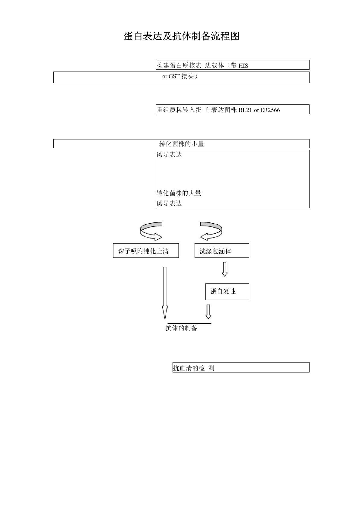 蛋白纯化及抗体制备方法