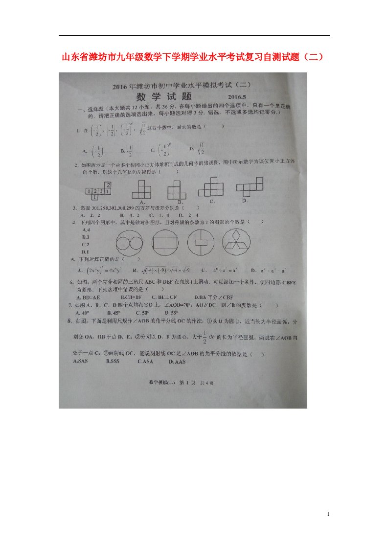 山东省潍坊市九级数学下学期学业水平考试复习自测试题（二）（扫描版，无答案）