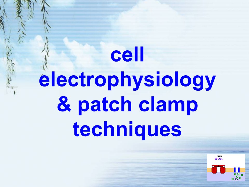 2010级研究生讲稿：细胞电生理学与膜片钳技术