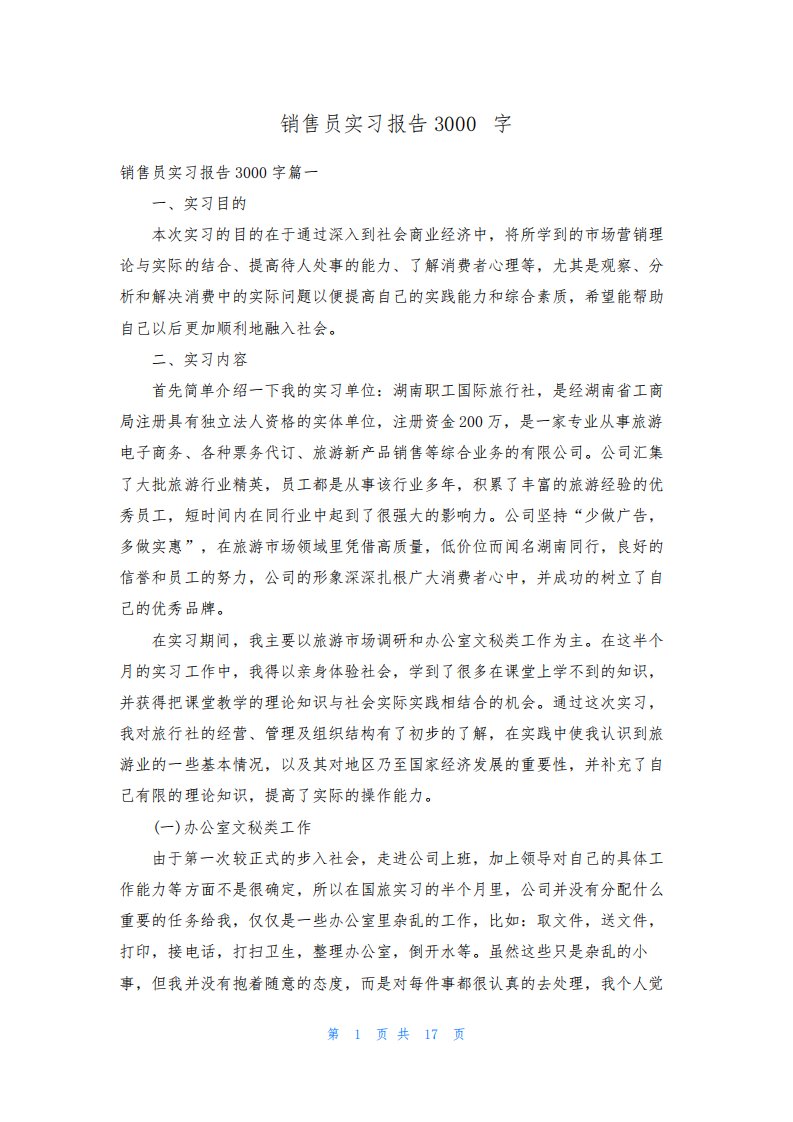 销售员实习报告3000字