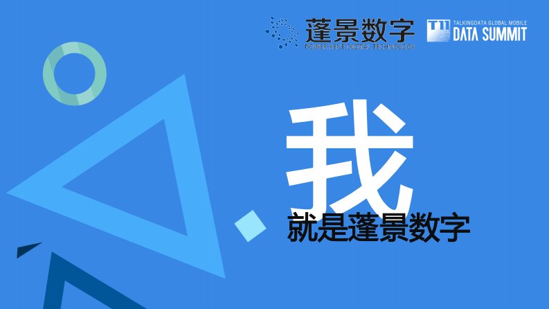 TalkingData-个性化数字市场营销——蓬景数字-20150916