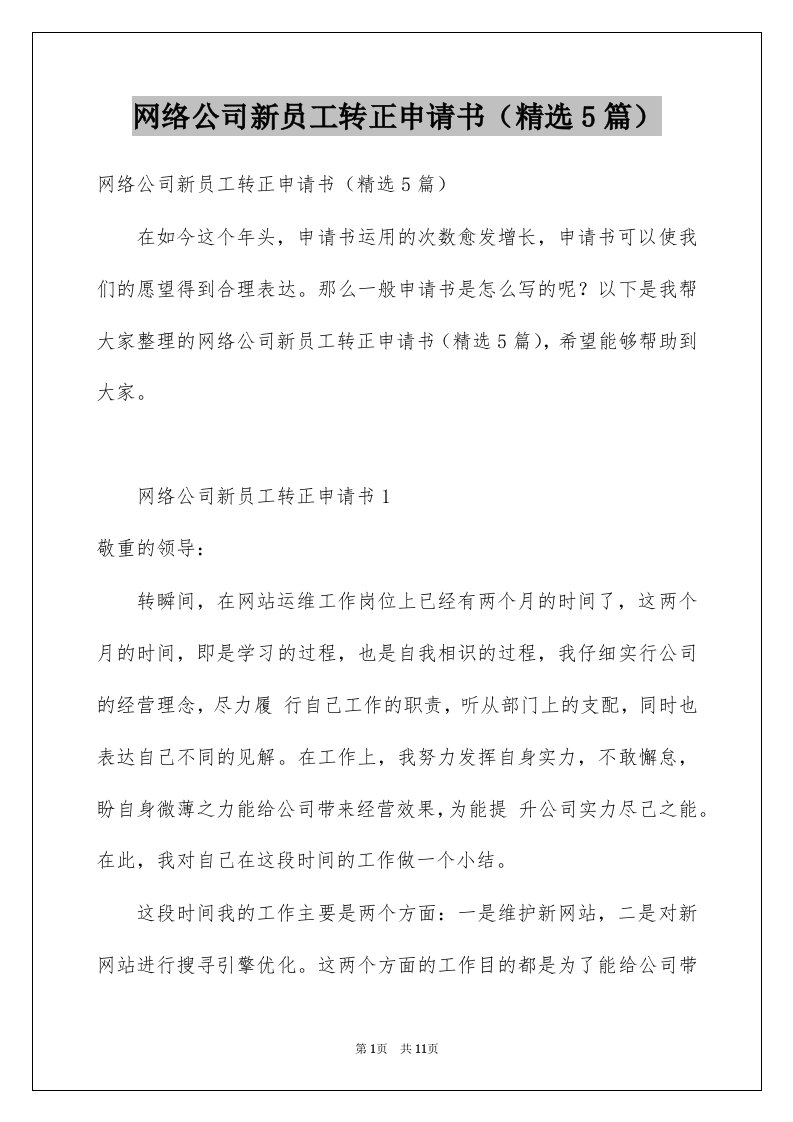 网络公司新员工转正申请书精选5篇