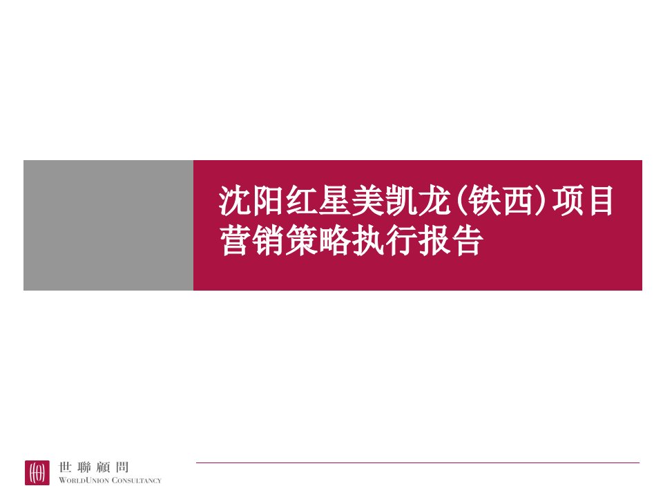 项目营销策略执行报告ppt课件