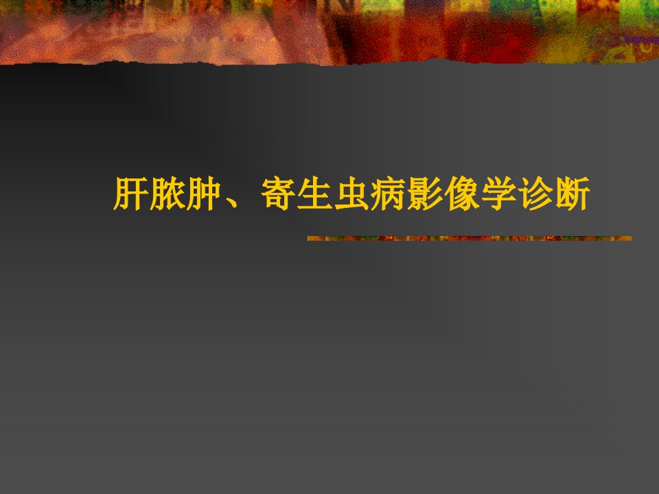 医学影像诊断学：肝脓肿、寄生虫病影像学诊断