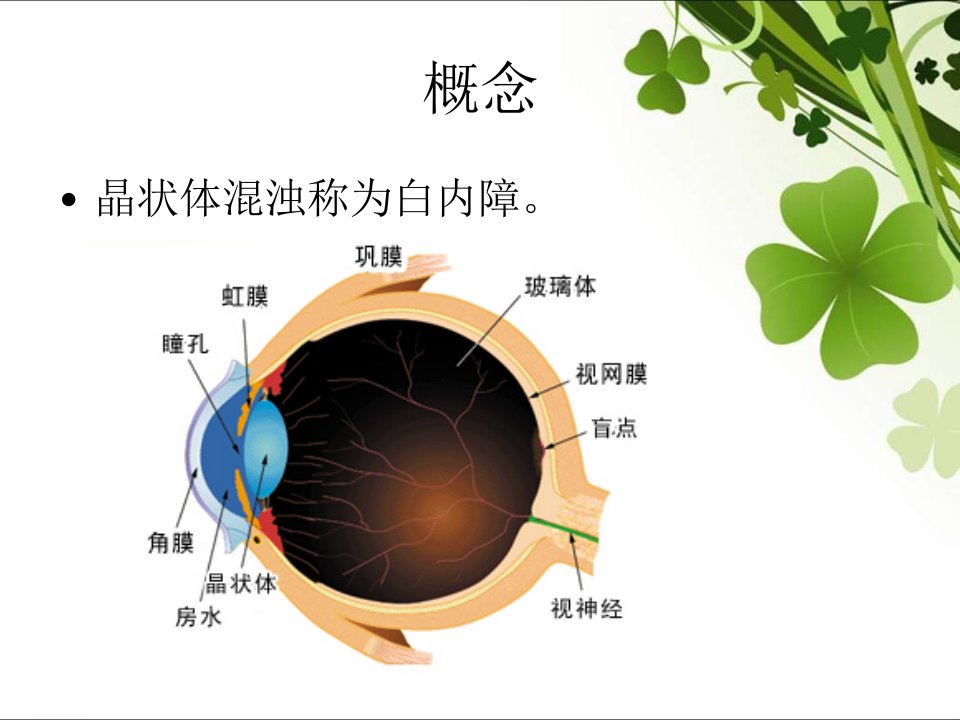 PHACOIOL植入术合并心脏起搏器植入史患者的危重查房