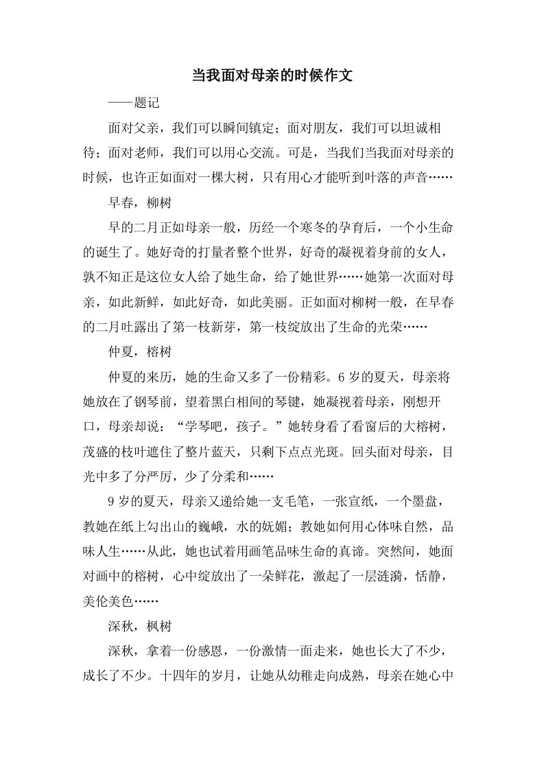 当我面对母亲的时候作文