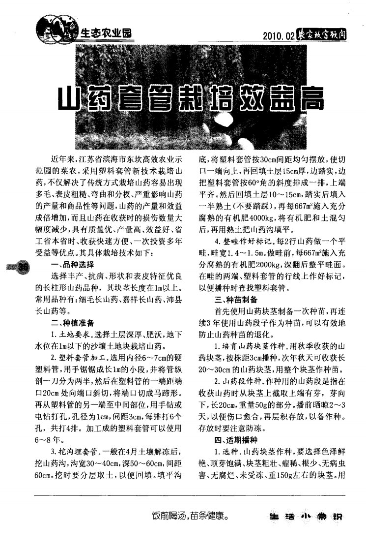 山药套管栽培效益高.pdf