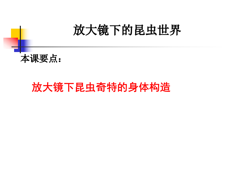 教科版小学科学六年级下册第一单元《放大镜下的昆虫世界》PPT课件