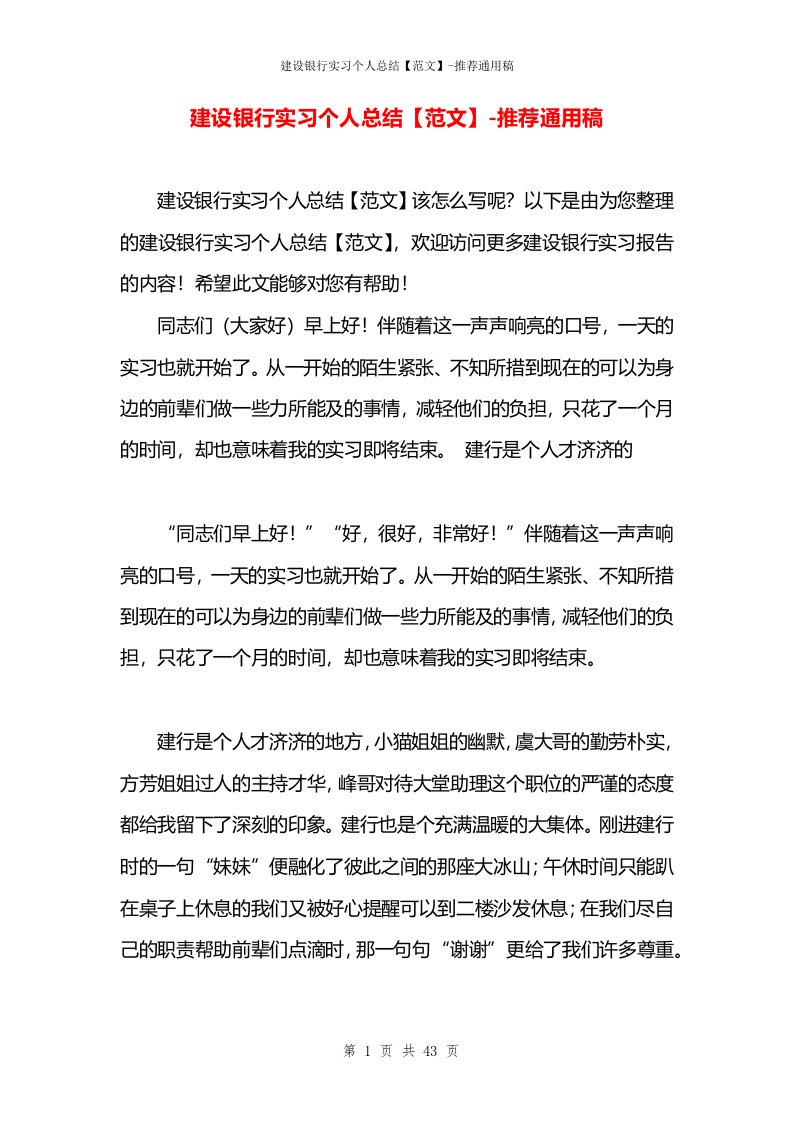 建设银行实习个人总结【范文】