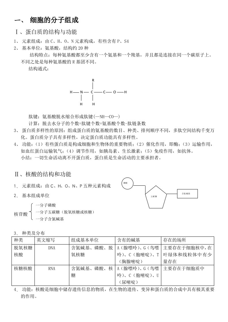 人教版高中生物必修一知识点总结