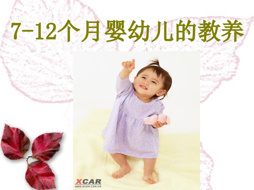 7-12个月婴幼儿的教养解析课件