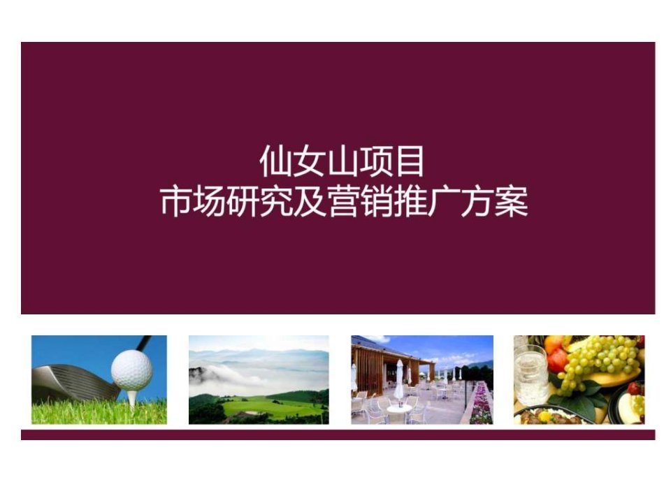 2012年旅游地产整合营销推广计划书.ppt