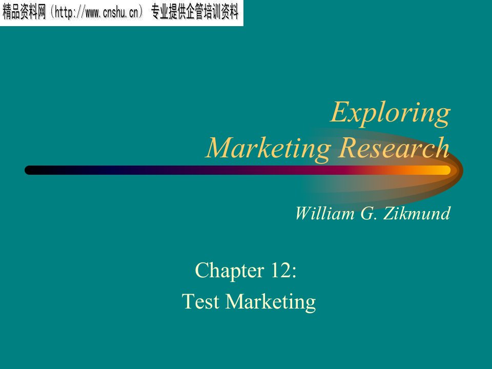 TestMarketing英文版