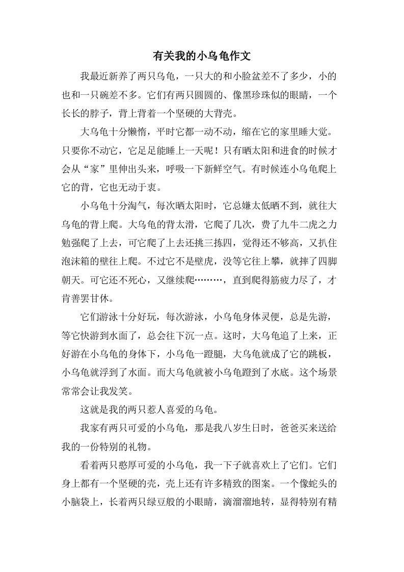 有关我的小乌龟作文