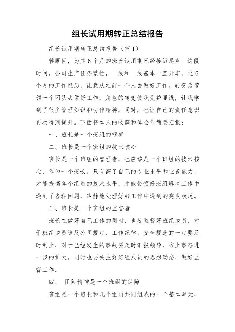 组长试用期转正总结报告