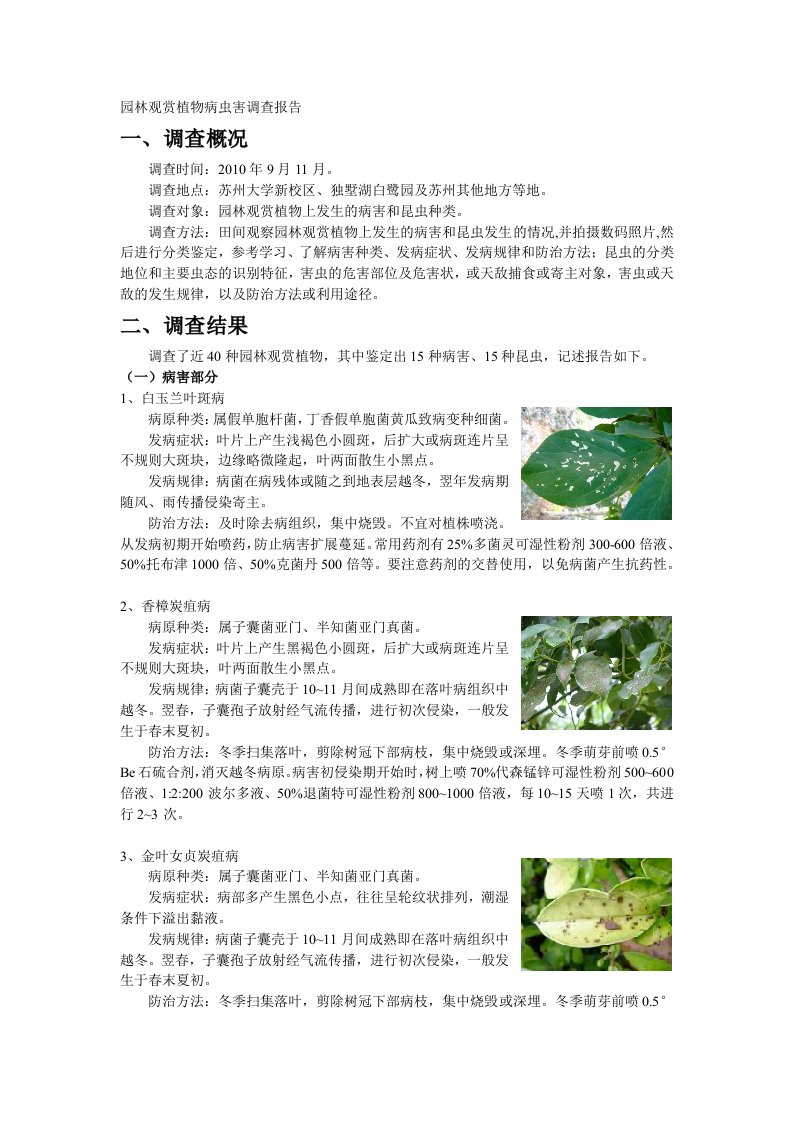 园林观赏植物病虫害调查(~)