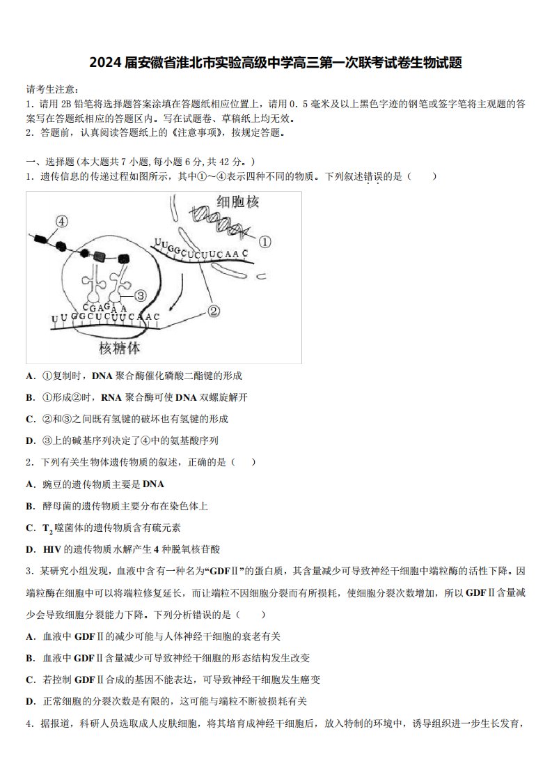 2024届安徽省淮北市实验高级中学高三第一次联考试卷生物试题含解析6845