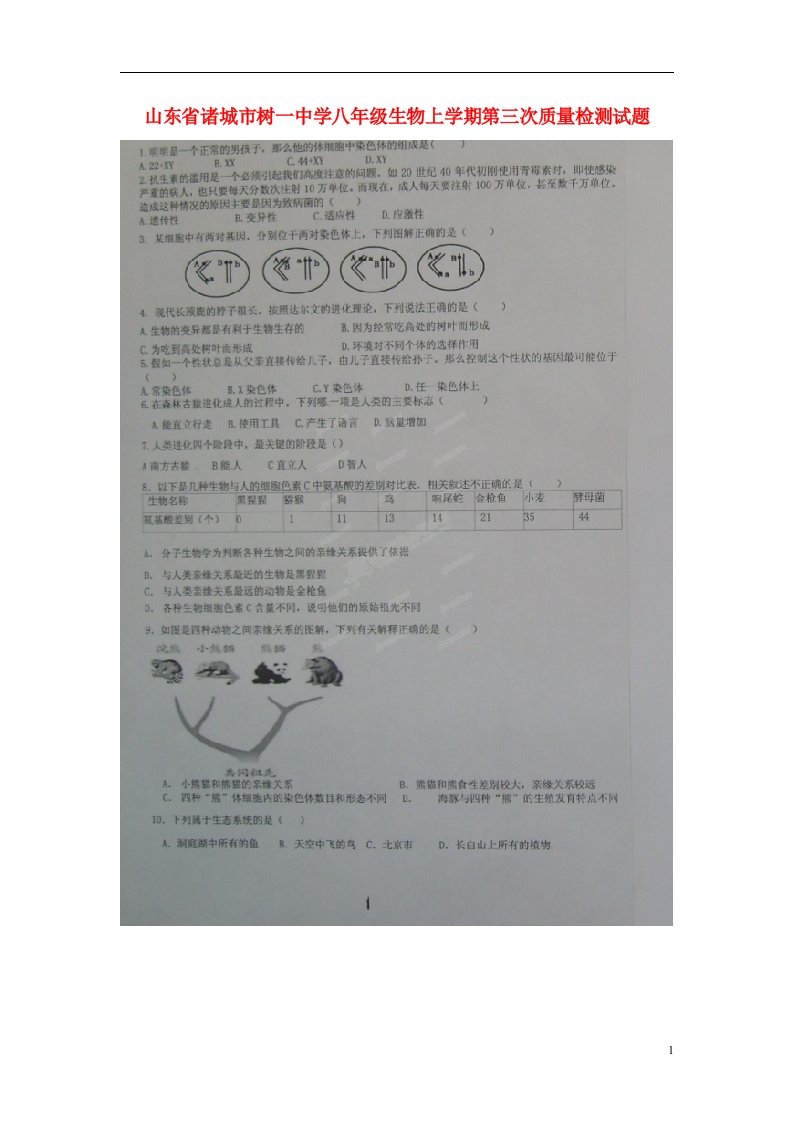 山东省诸城市树一中学八级生物上学期第三次质量检测试题（扫描版）