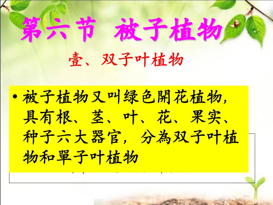 七年级上册生物冀少版第六节被子植物双子叶植物市公开课一等奖百校联赛获奖课件