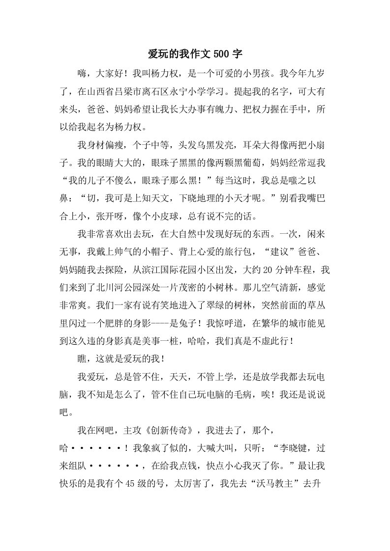 爱玩的我作文500字