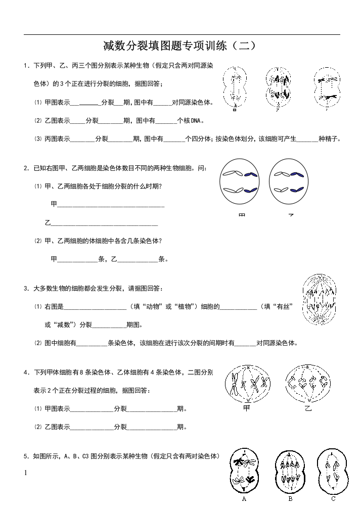 减数分裂大题专项训练