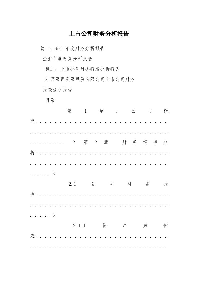 上市公司财务分析报告_1