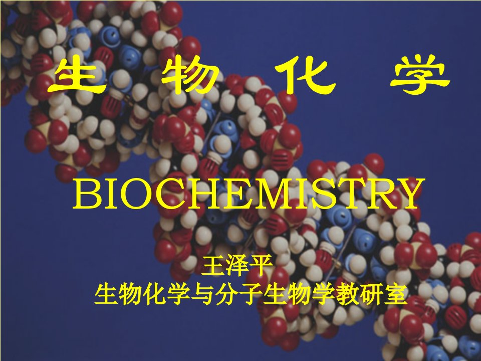 医学生物化学课件