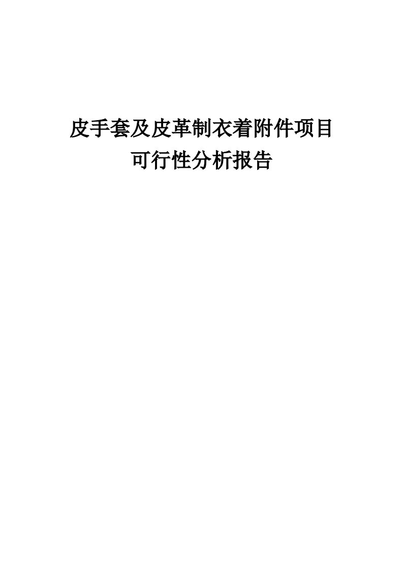 皮手套及皮革制衣着附件项目可行性分析报告