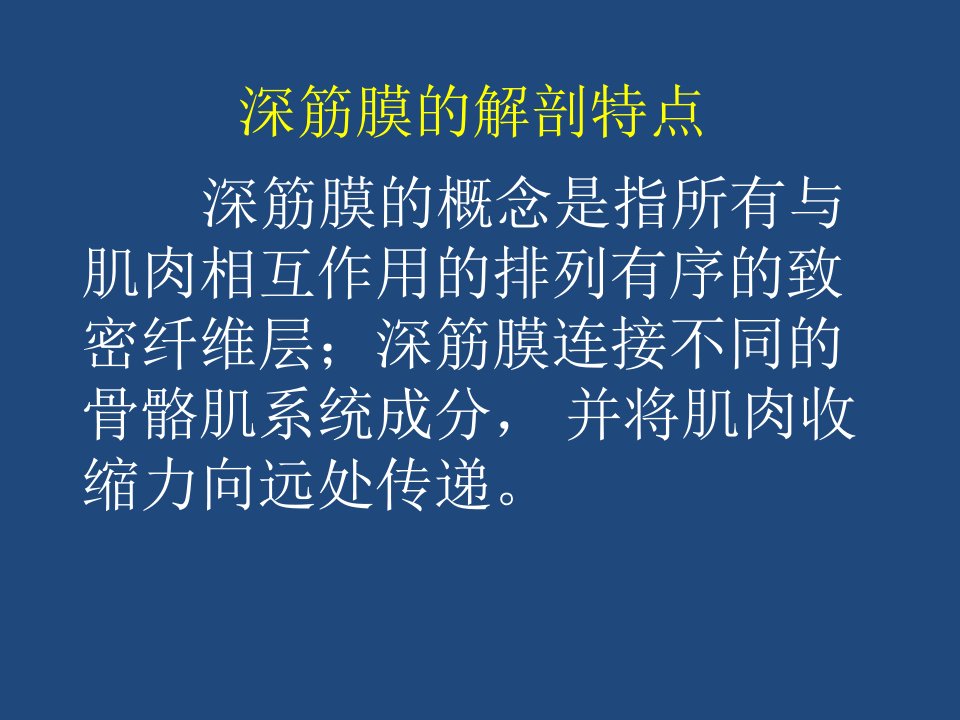 深筋膜的解剖特点ppt课件