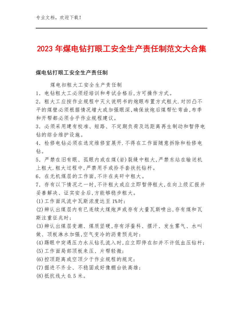 2023年煤电钻打眼工安全生产责任制范文大合集