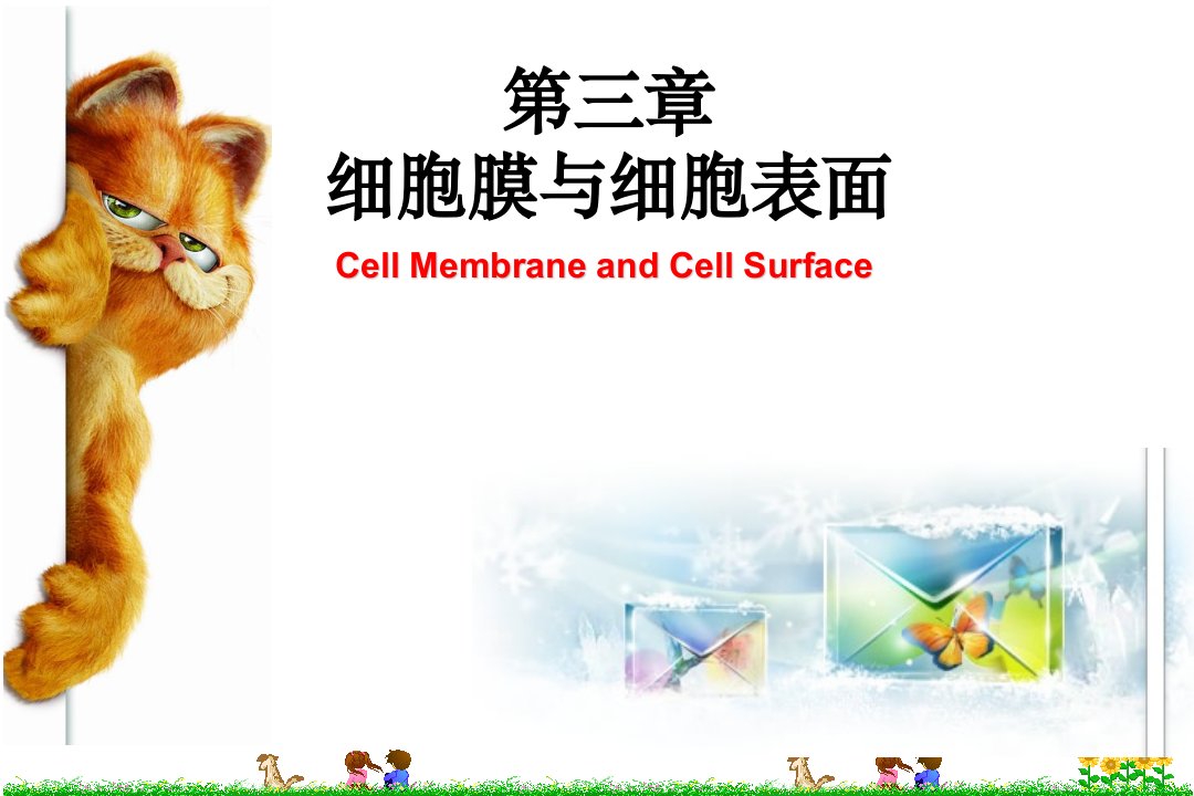 细胞生物学细胞膜与细胞表面