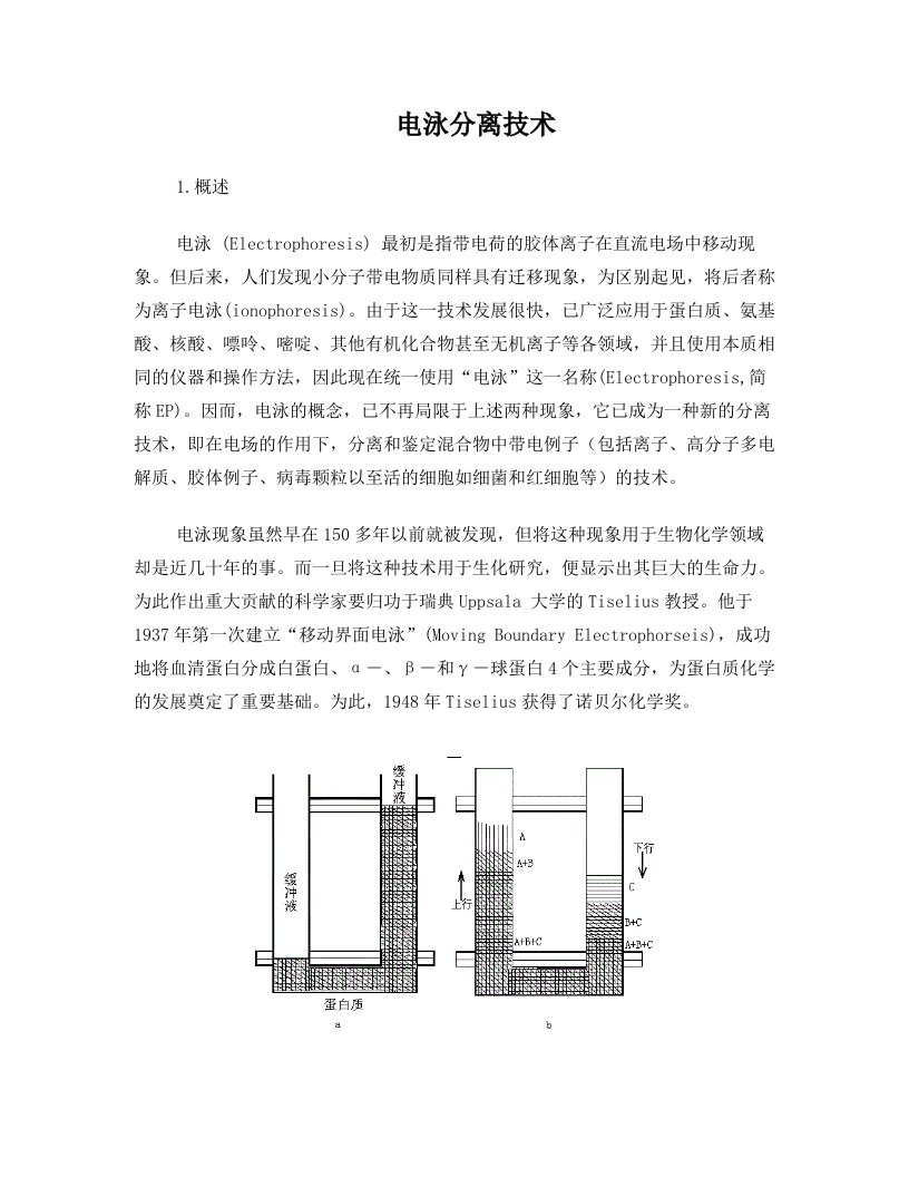 第九章++电泳